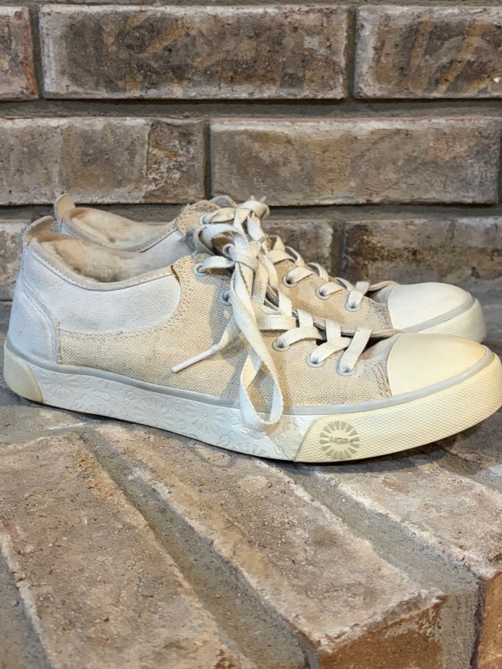 Ugg Australia Women Evera 1888 Suede Sheepskin Sneakers
